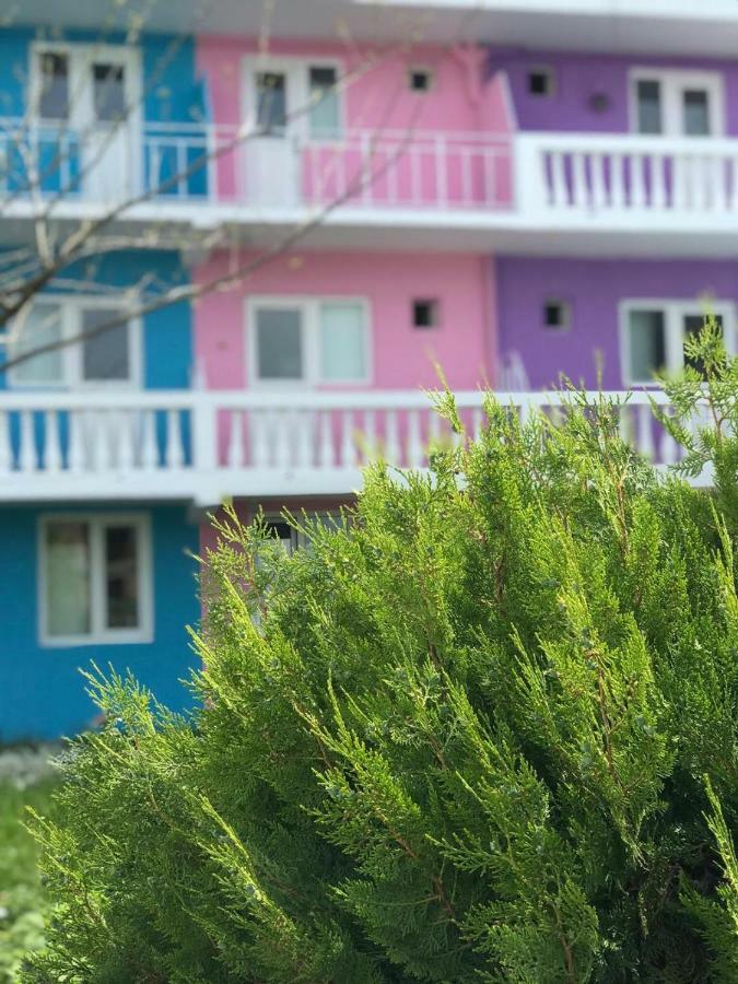 Хостел Casa Barbie Костінешть Екстер'єр фото