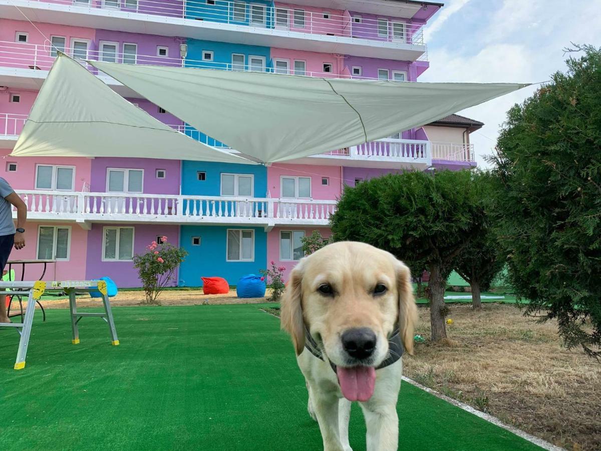 Хостел Casa Barbie Костінешть Екстер'єр фото